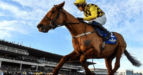 champion hurdle champion hurdle 2018 bet|Champion Hurdle Preview & Tips .